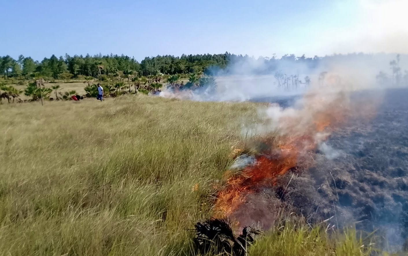 629283678_924119657037569_4859733669438740287_n