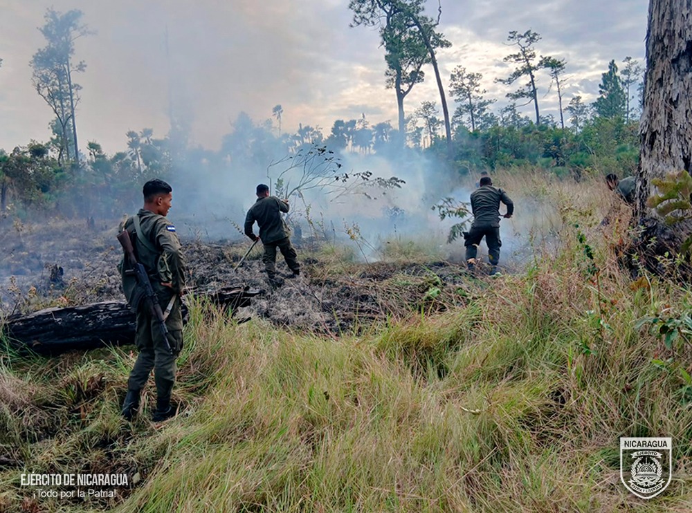 WhatsApp Image 2026-02-09 at 3.06.39 PM (1)