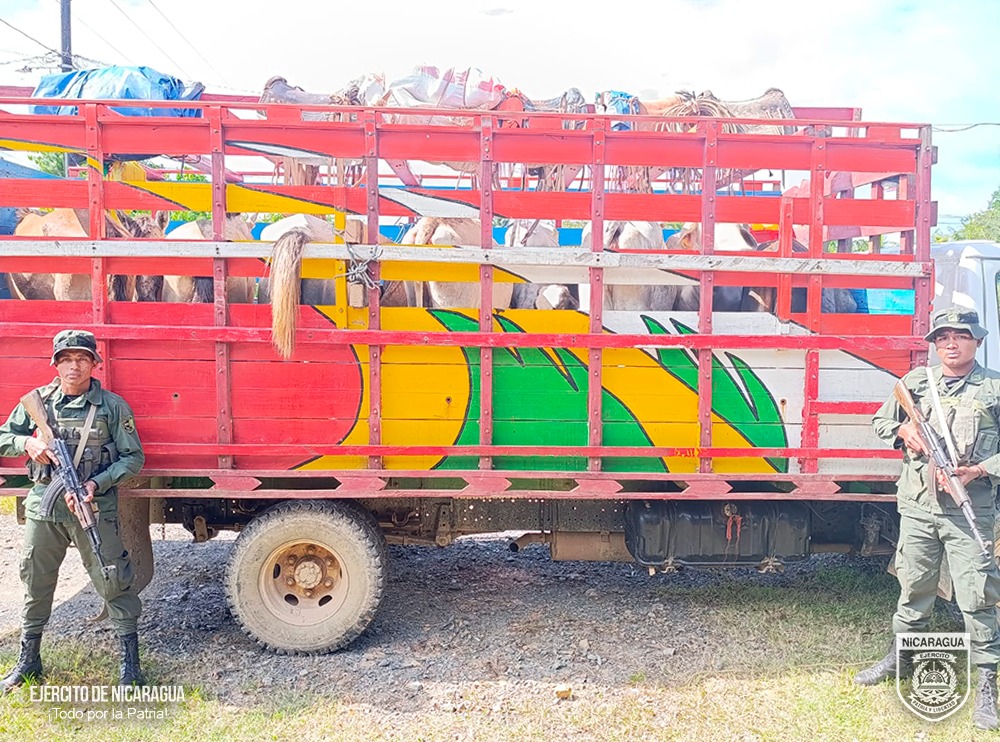 WhatsApp Image 2026-02-09 at 4.00.55 PM (2)