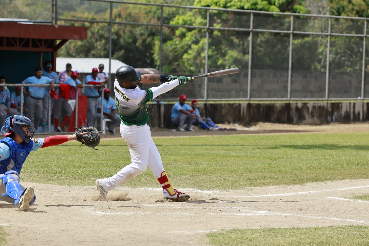 cb5d8276-c4f8-4085-b07b-29279552b677