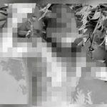833495238_1791677408553428_2627105125140367210_n