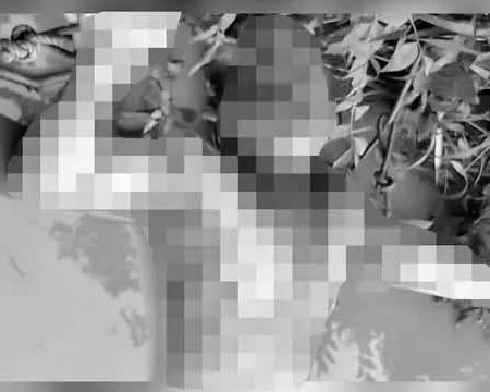 833495238_1791677408553428_2627105125140367210_n