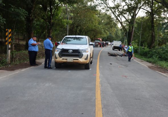 IMG_0774